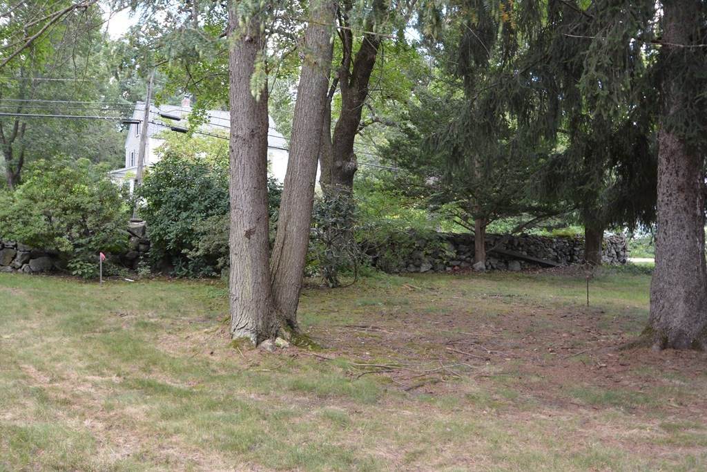 Lot 2 Bartlett Street - Photo 1
