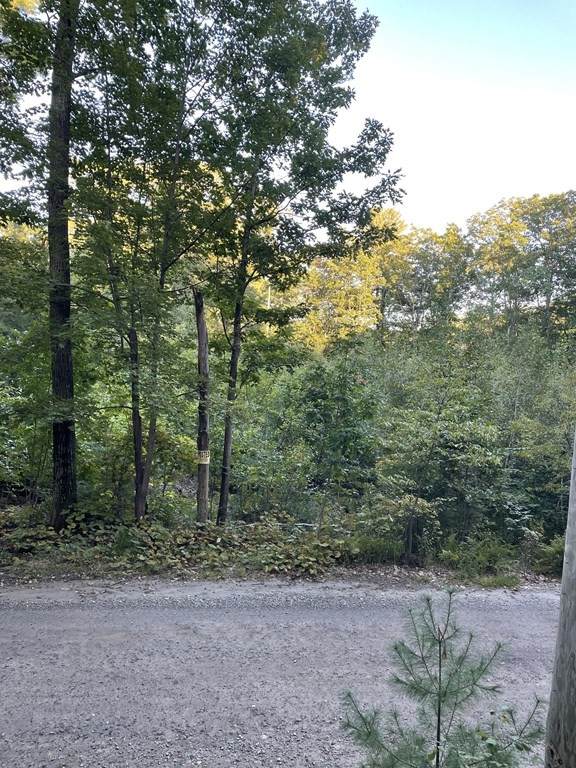 149 Bragg Hill Rd - Photo 1