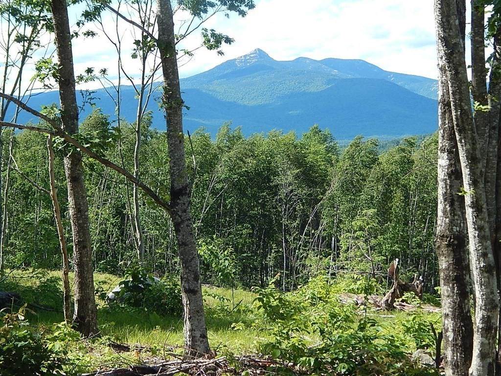 0 White Mountain Highway - Photo 1