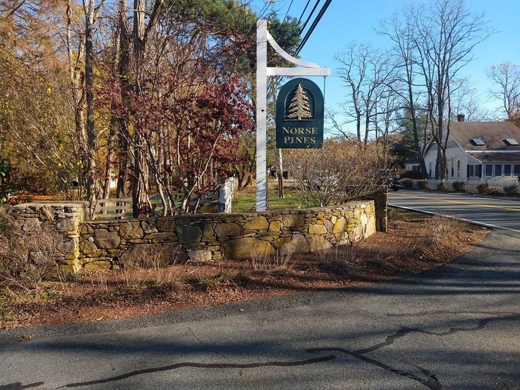 10 Norse Pines Dr - Photo 1