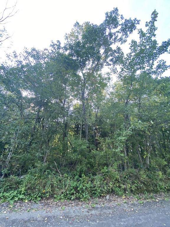 0 Coy Hill Rd - Photo 1