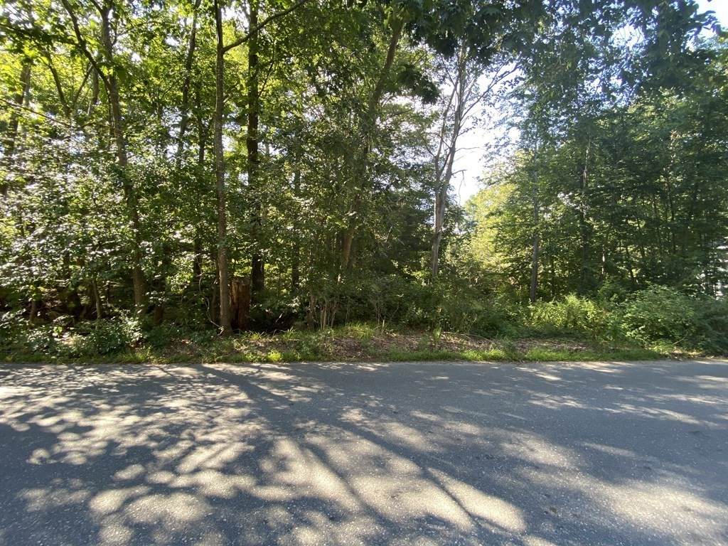 12 Sumner St - Photo 1