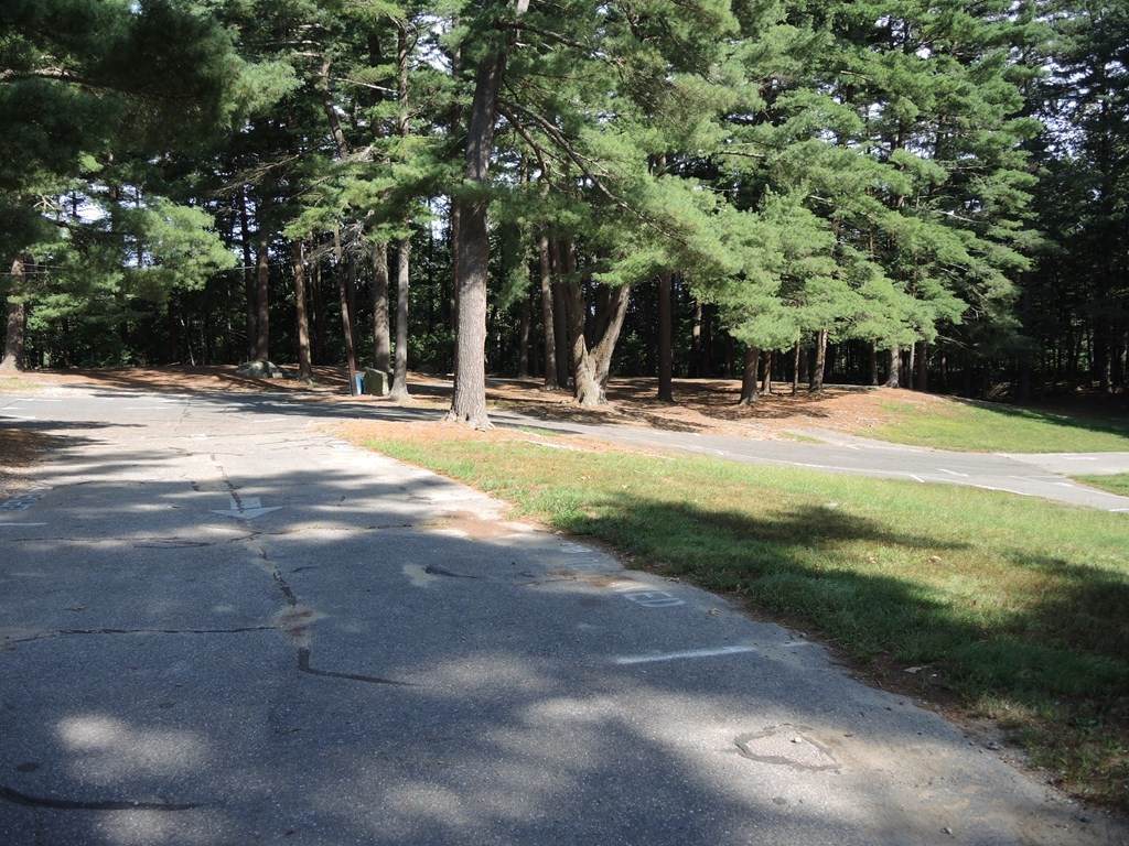 296 Upton Street - Photo 1