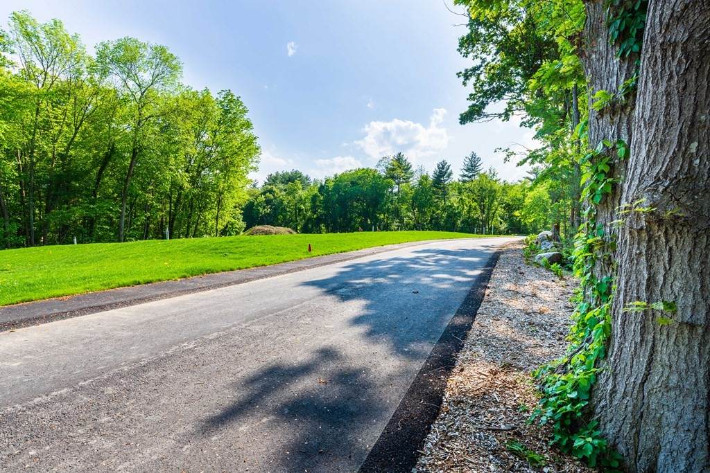 LOT 6 Goodspeed Lane - Photo 1