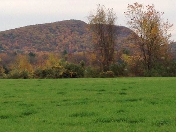 0 Greenfield - Photo 1