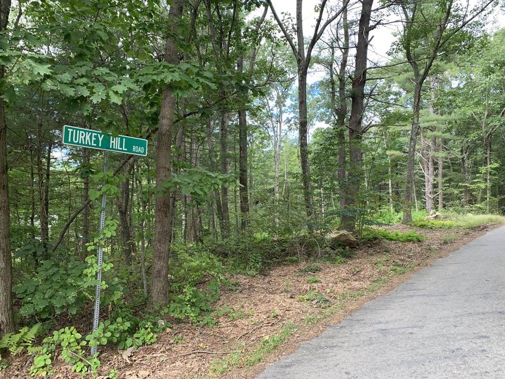 Lots 6-11 Wewe Trail - Photo 1