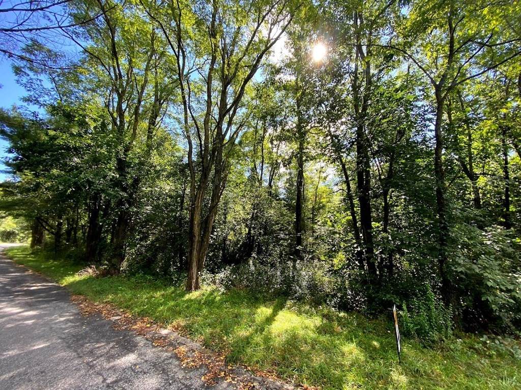 0 Millbrook Rd - Photo 1