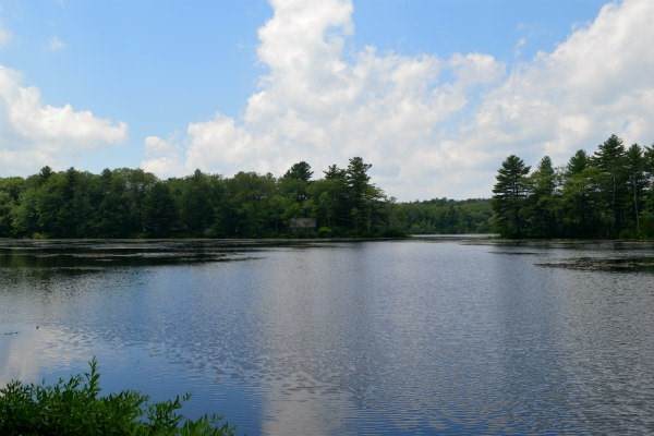 0 Baker Pond Rd - Photo 1