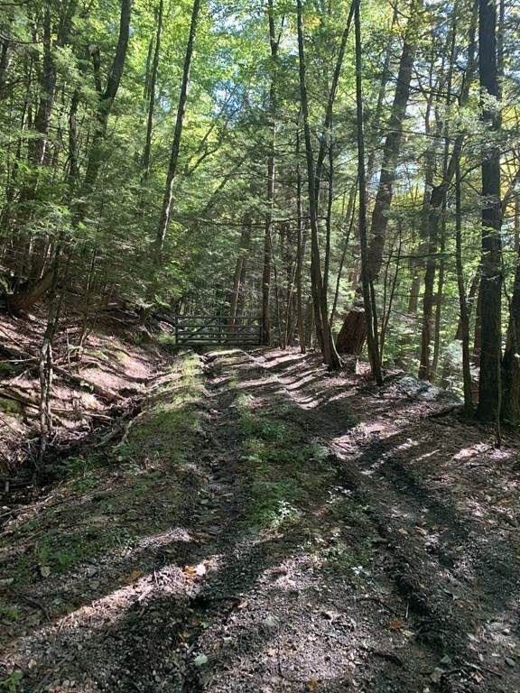 0 Pratt Hollow Rd - Photo 1