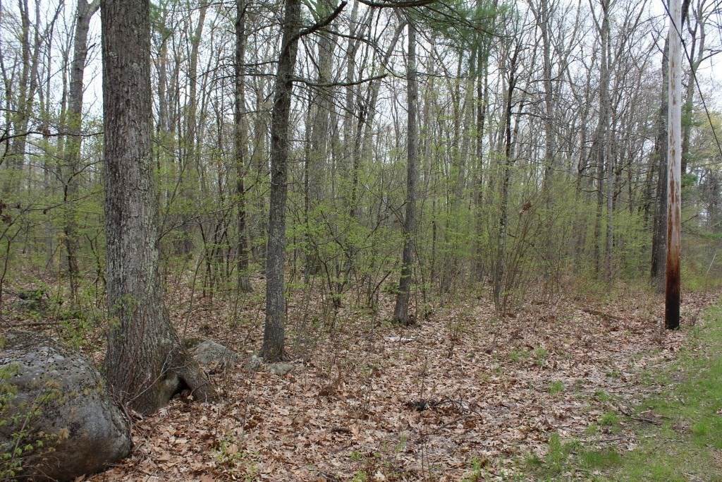Lot A N Brookfield Road - Photo 1
