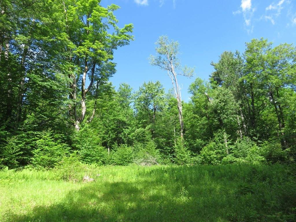 00 Jacob's Ladder Rd - Photo 1