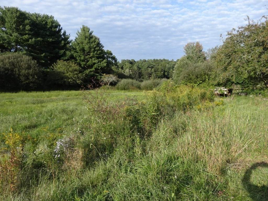 0 Old Bridge Road - Photo 1