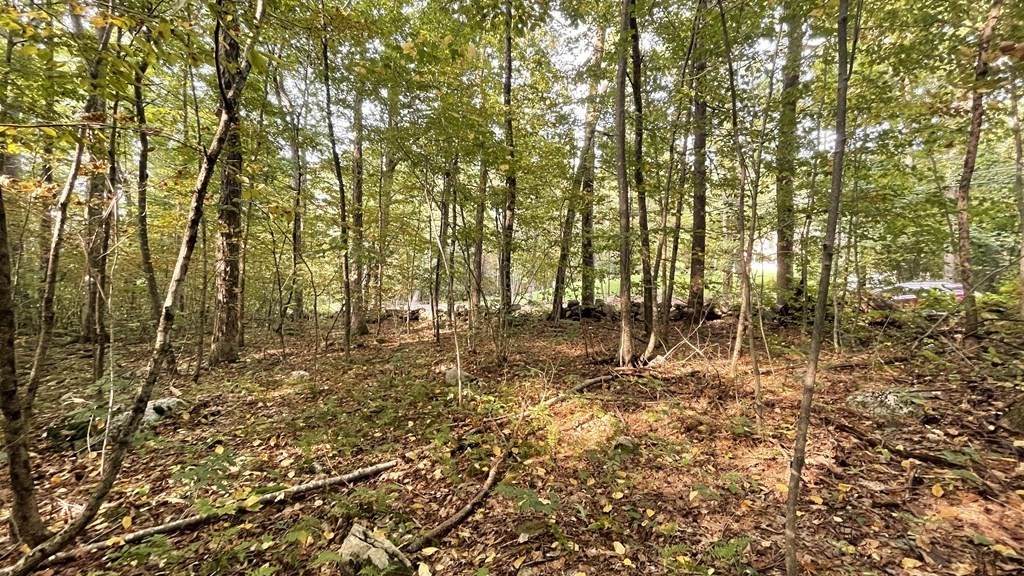 Lot 1 Thompson Pond Rd - Photo 1