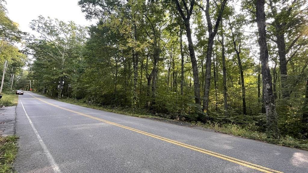 Lot 2 Thompson Pond Rd - Photo 1