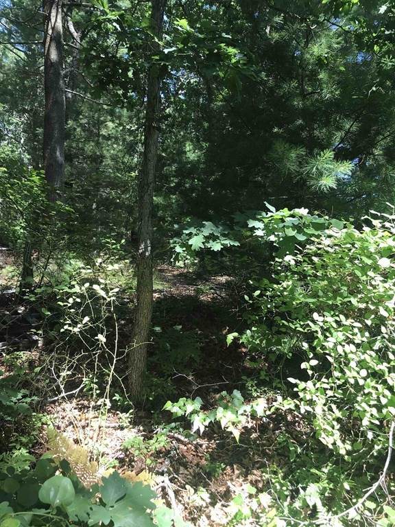 Lot 289 Plymouth Rock Terrace - Photo 1