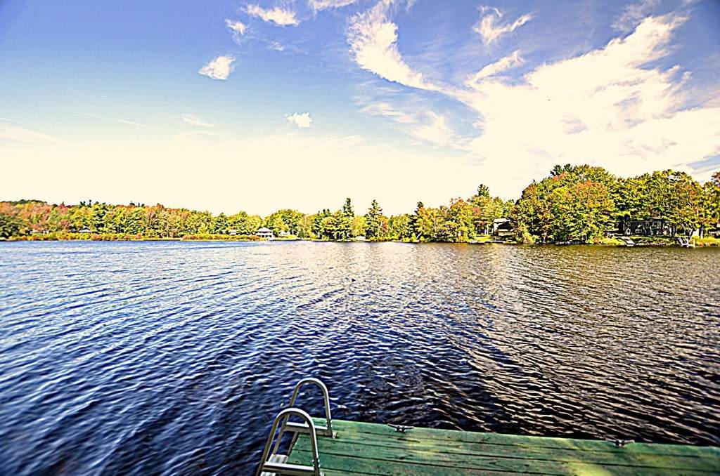 581 King Richard Dr - Photo 1