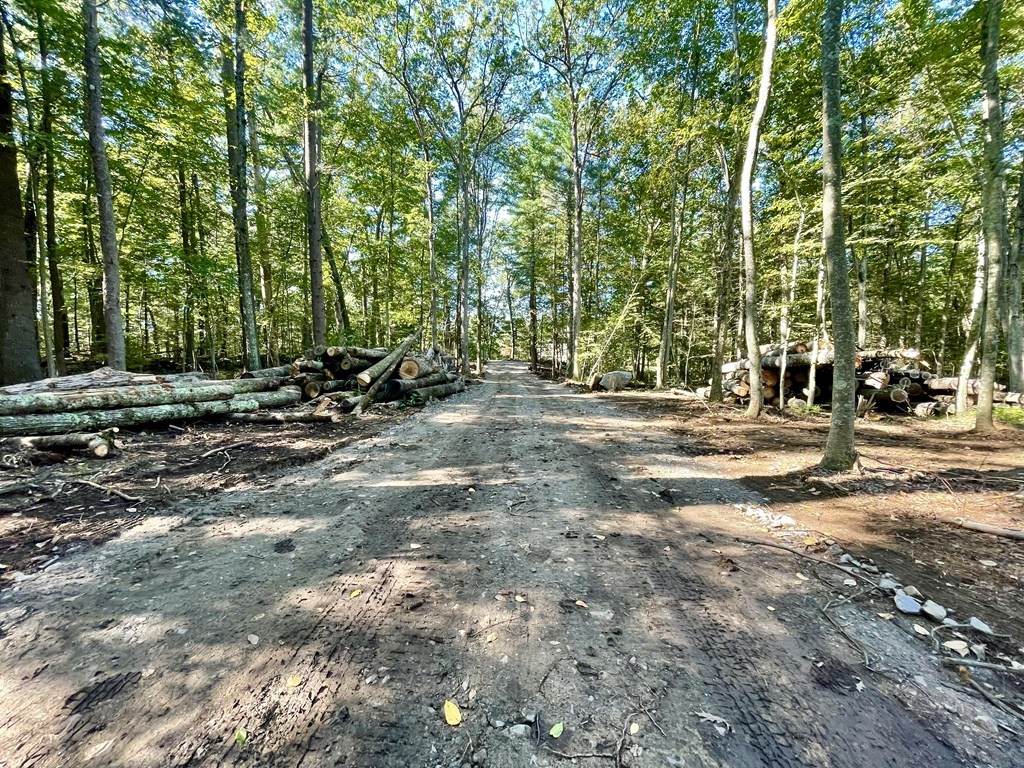 25B Lovett - Photo 1