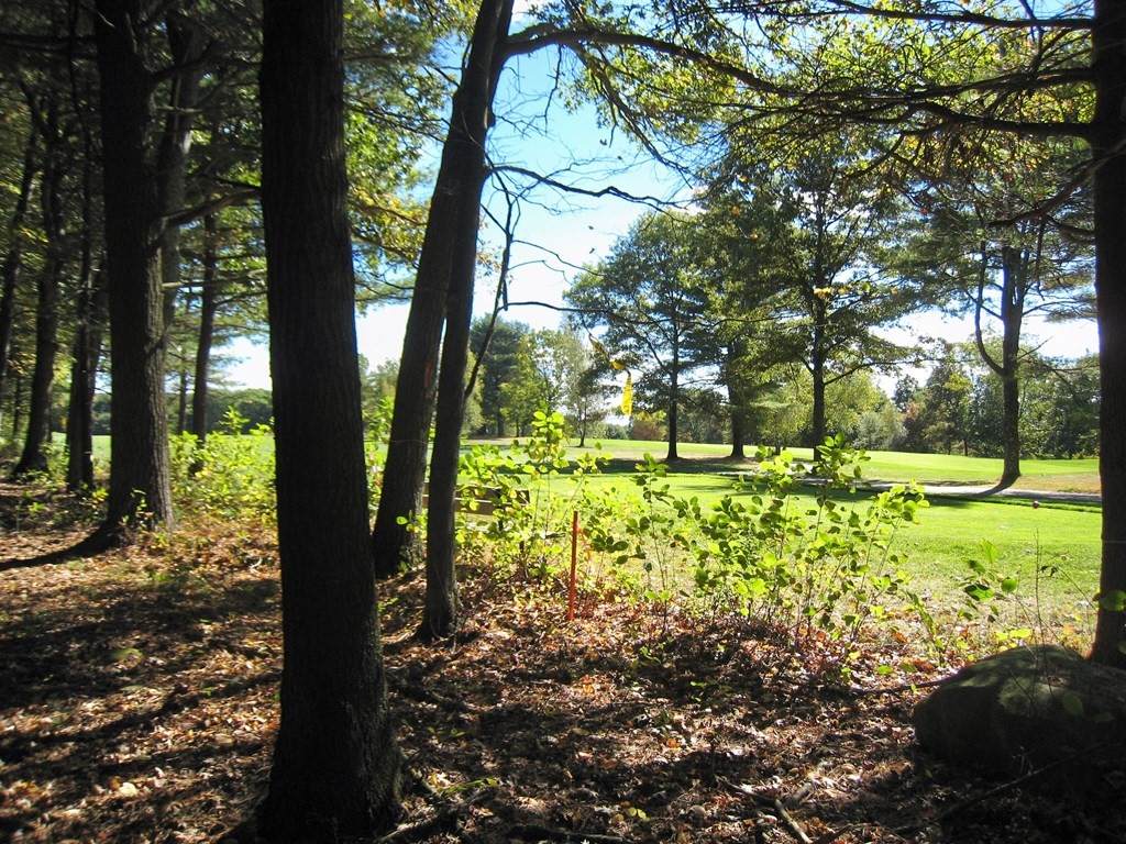 156 Baker St - Photo 1