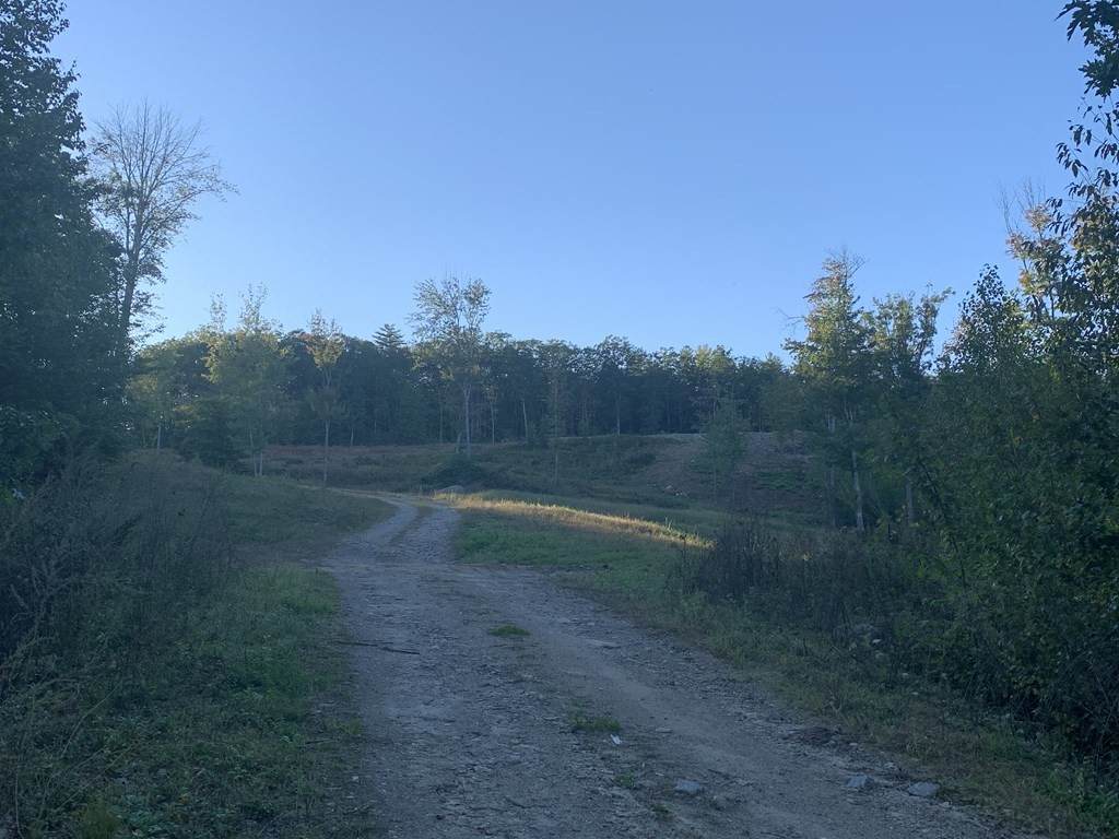 0 Gorham Pond Rd - Photo 1