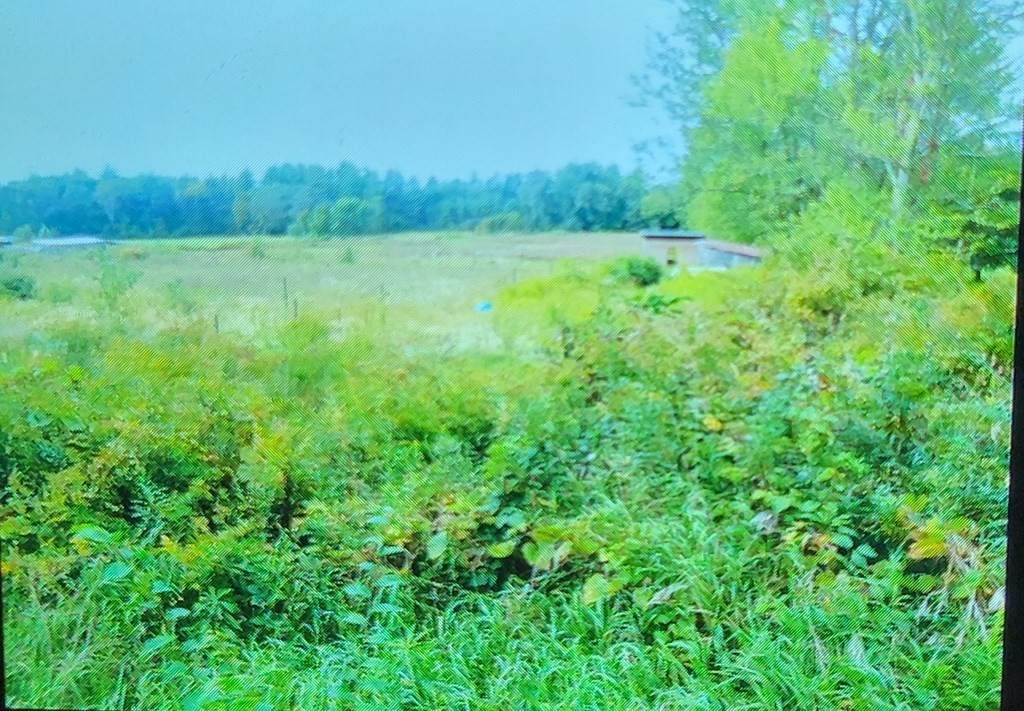 0 Turner's Falls Road - Photo 1