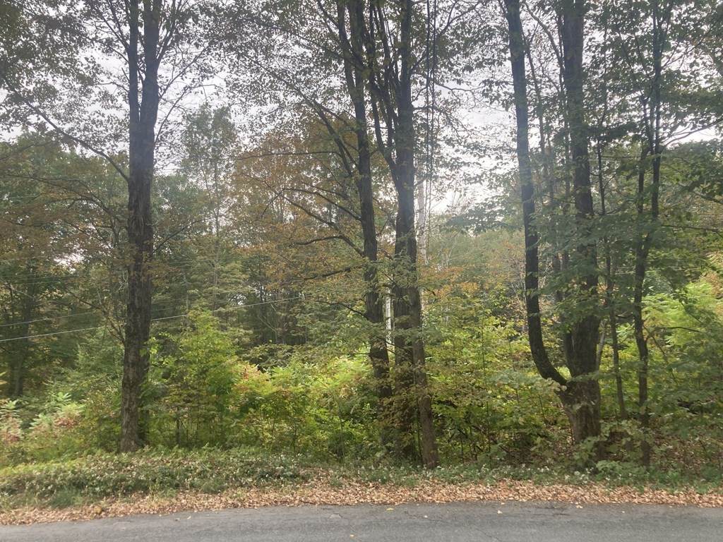 0 S Shelburne Rd L:4 - Photo 1