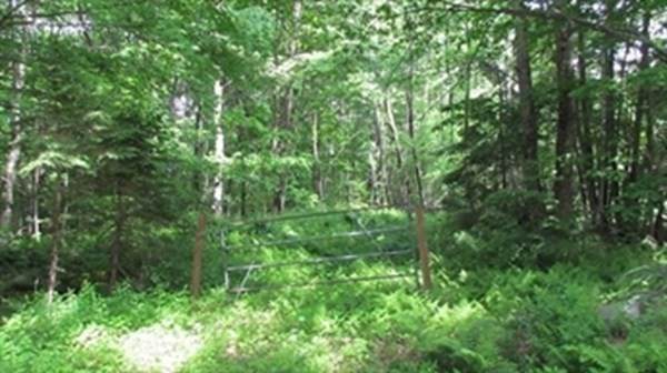 0 Willis Road - Photo 1