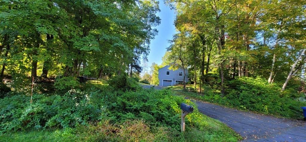 29 Canterbury Hill Rd - Photo 1