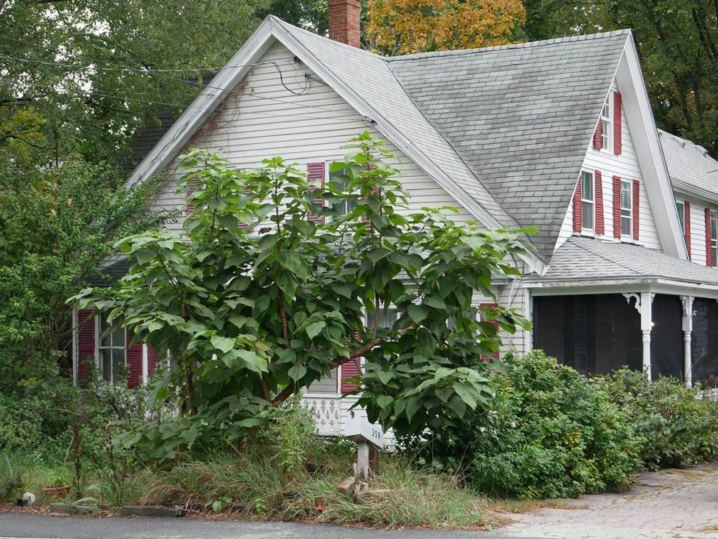 359 Hartford Ave - Photo 1