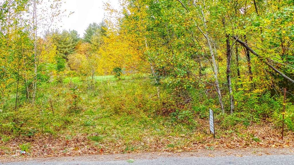 Lot 2 South Royalston Rd. - Photo 1