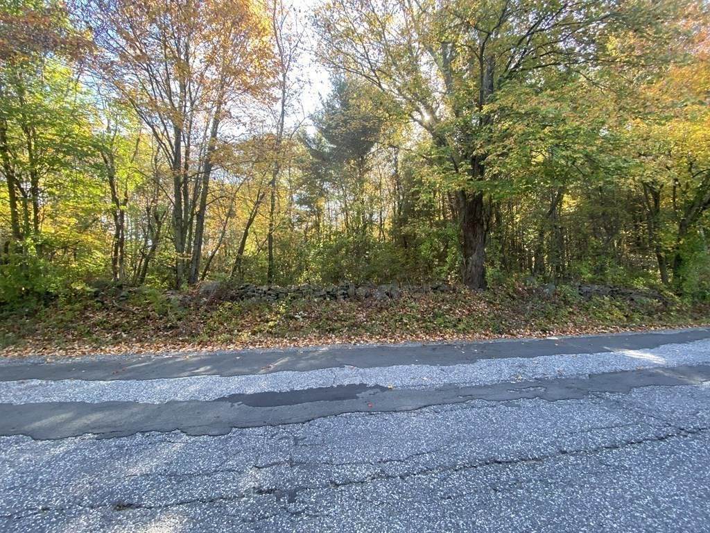 0 Michael Sears Rd Lot 2B - Photo 1
