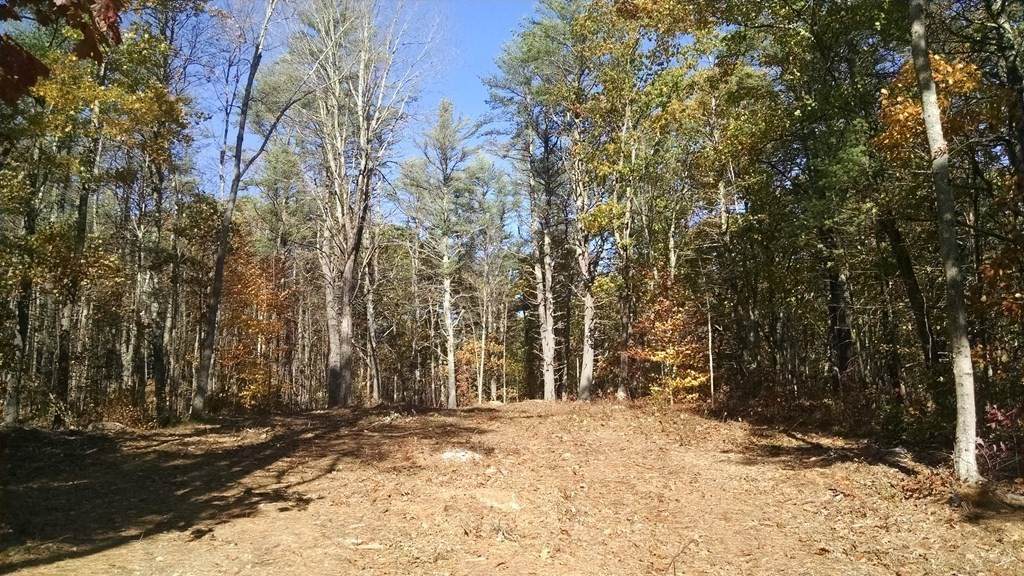 Lot 1 Old Colony Rd - Photo 1
