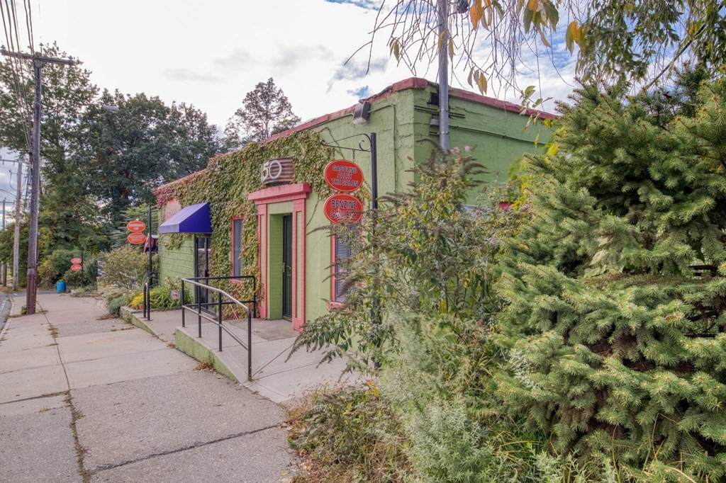 250 Albany St - Photo 1