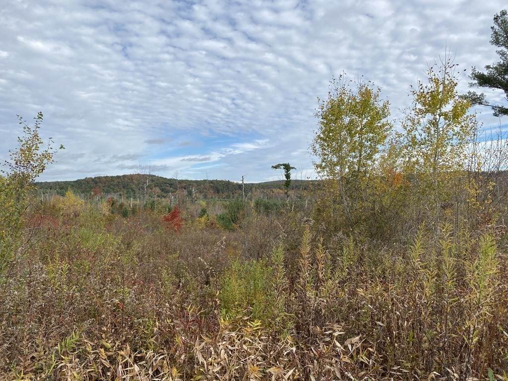 0 Holland Rd - Photo 1