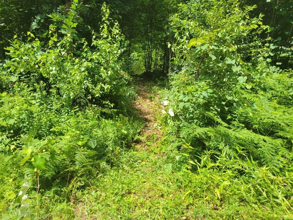 773 Park Hill Rd - Photo 1