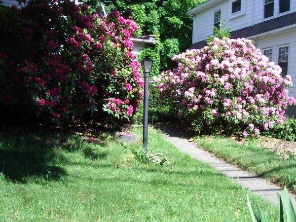 59 Surrey - Photo 1