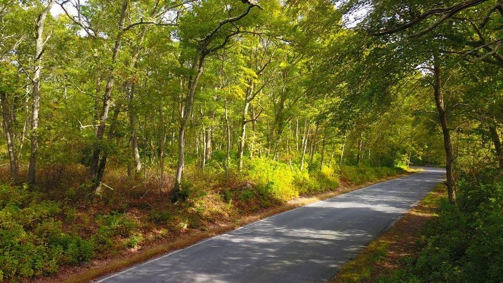 lot 2 Old Harbor/Mullin Hill - Photo 1