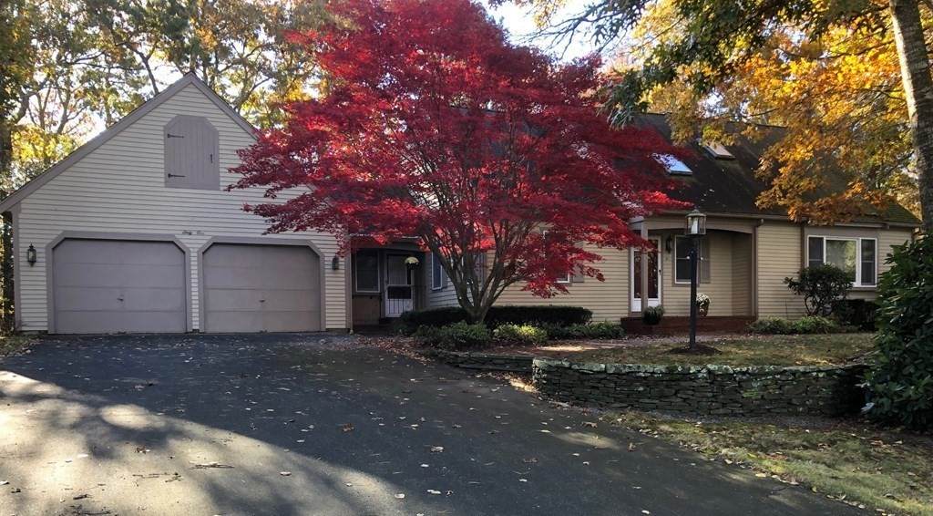 61 Tara Lane - Photo 1