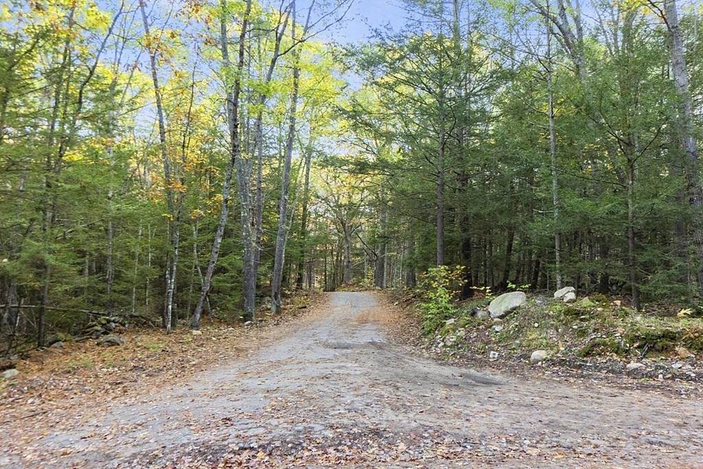 Lot 14 Doyle Avenue - Photo 1