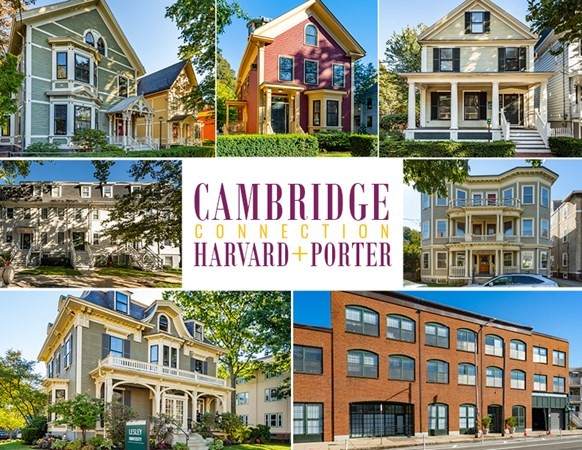 Cambridge Connection - Photo 1