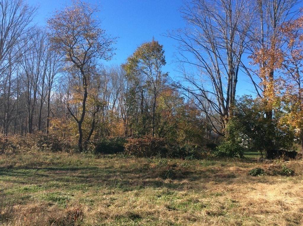 Lots 1,2,3 Maple Street - Photo 1