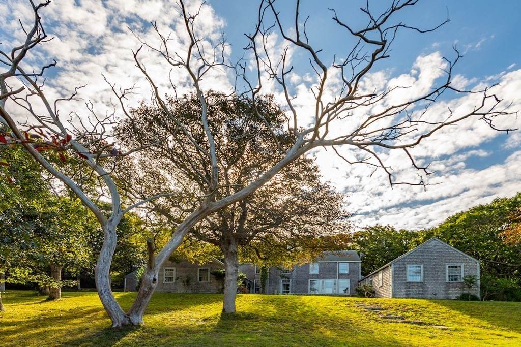 48 Forest Road - Photo 1