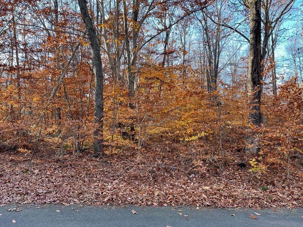 0 Rocky Hill Road - Photo 1