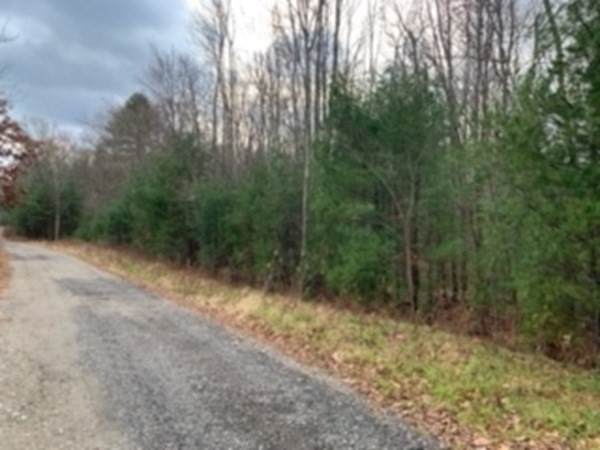 Lot 2 Pearl St - Photo 1