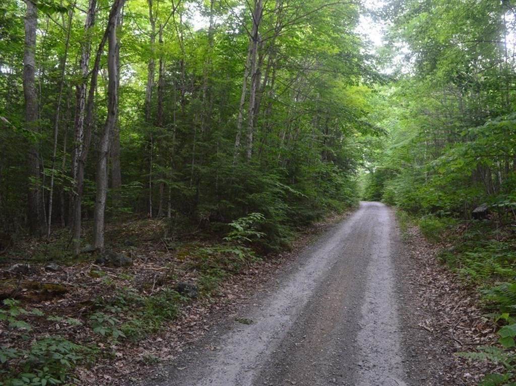 0 Round Hill Road - Photo 1