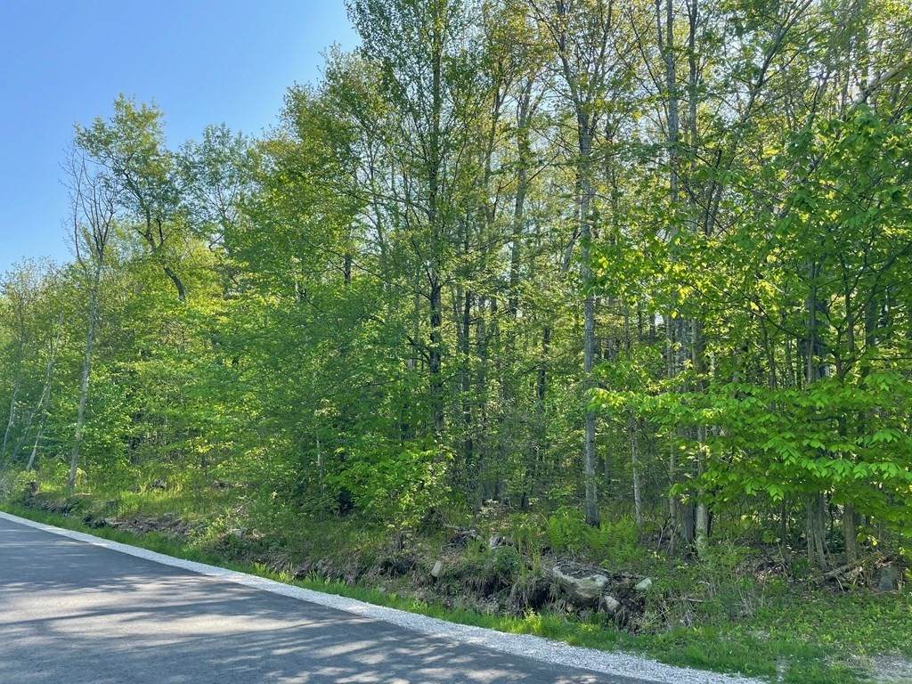 28 Crest Ln - Photo 1