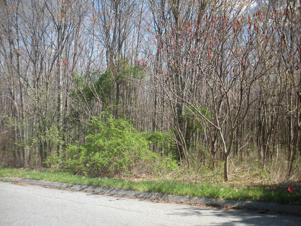 23 Prospect Hills Dr - Photo 1