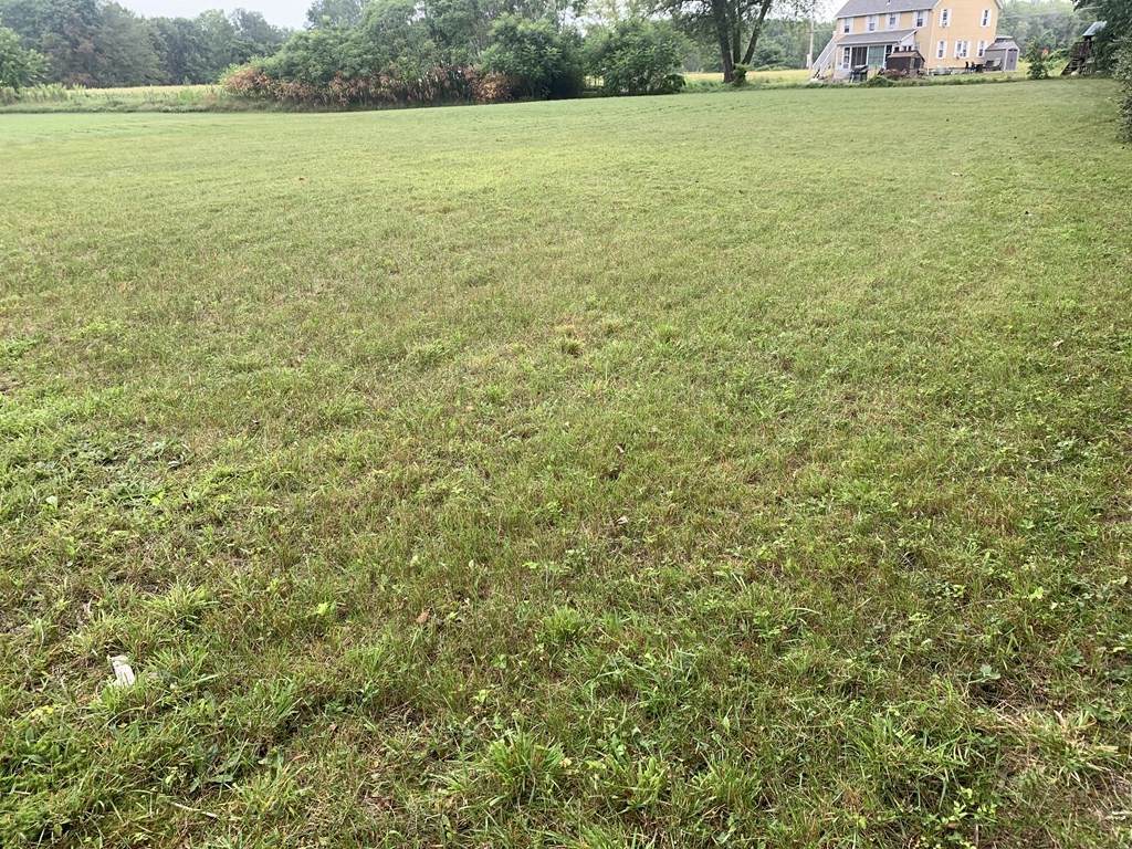 0 Greenfield Rd - Photo 1