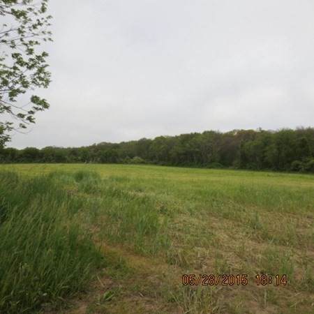 978 Sodom Rd - Photo 1