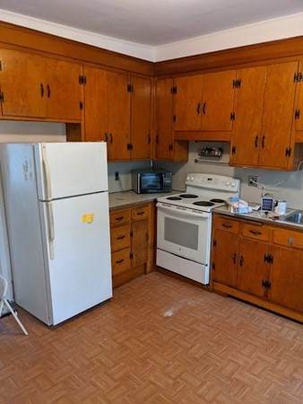 193 Mt Auburn St - Photo 1
