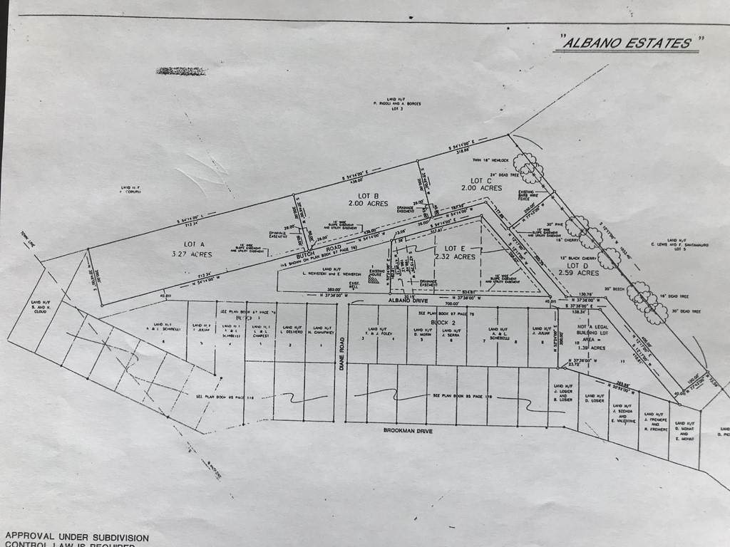 Lot B Albano Drive - Photo 1